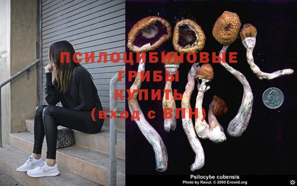 крисы Балабаново