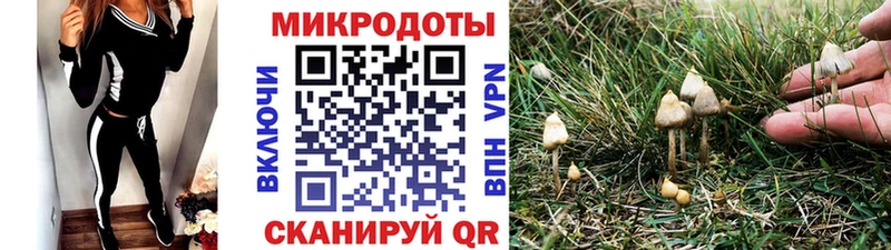 Галлюциногенные грибы Psilocybe Вятские Поляны